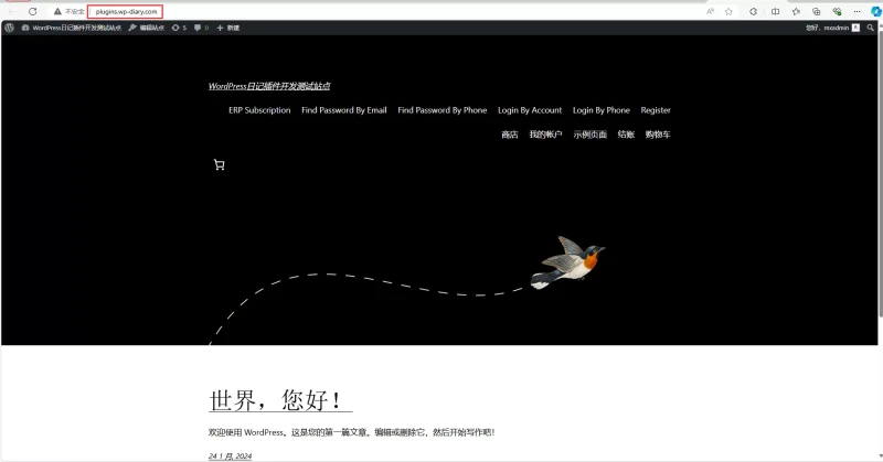 如何实现WordPress电脑端和移动端使用不同的主题和域名-易模板